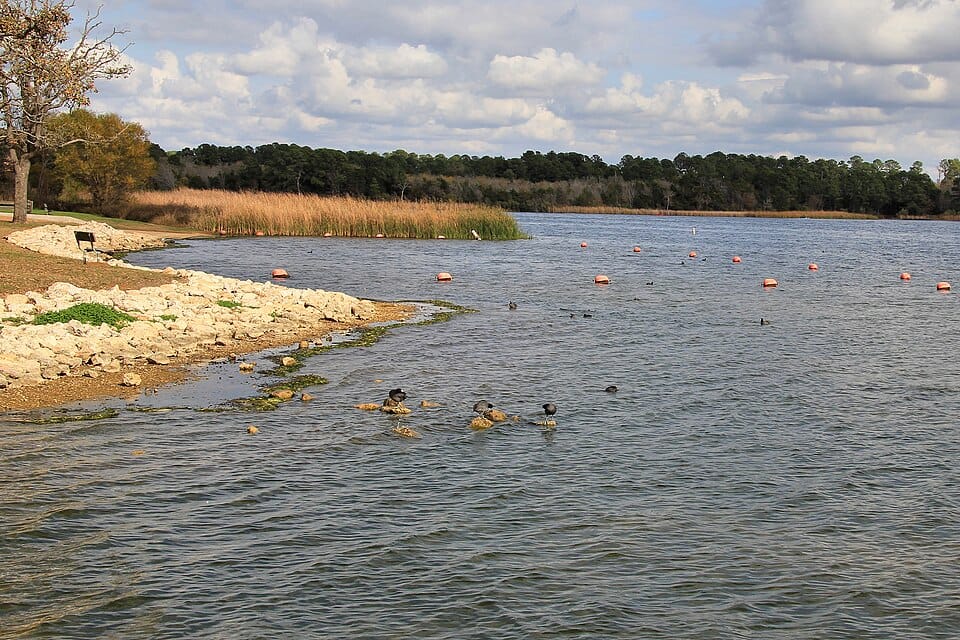 Lake Bastrop North Shore Park - Photo 1