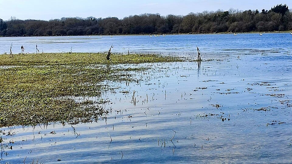 Rahasane Turlough - Photo 1