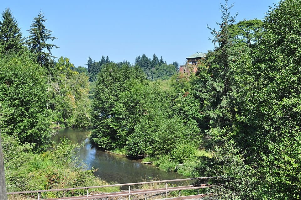 Deschutes River - Photo 1