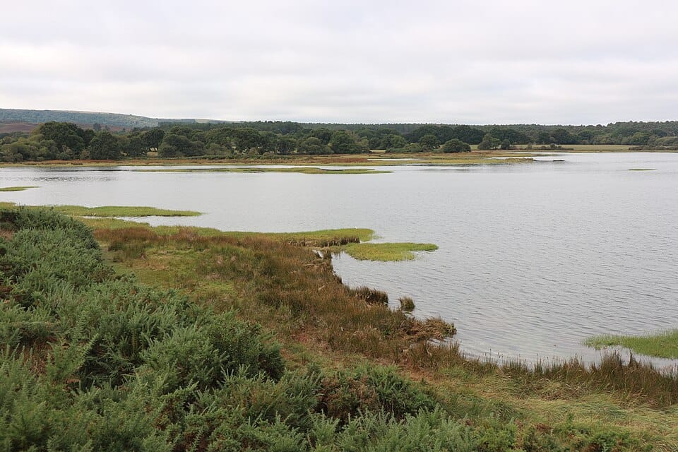 Brand's Bay - Photo 1