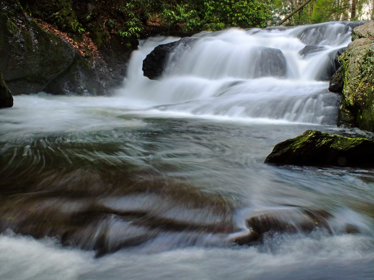Pohopoco Creek - Photo 1