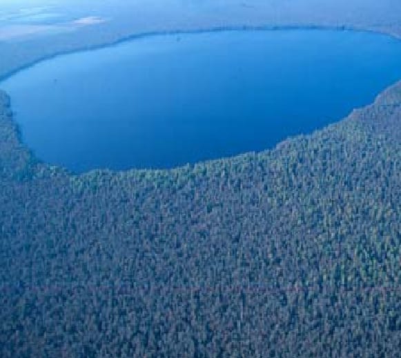 Lake Drummond - Photo 1