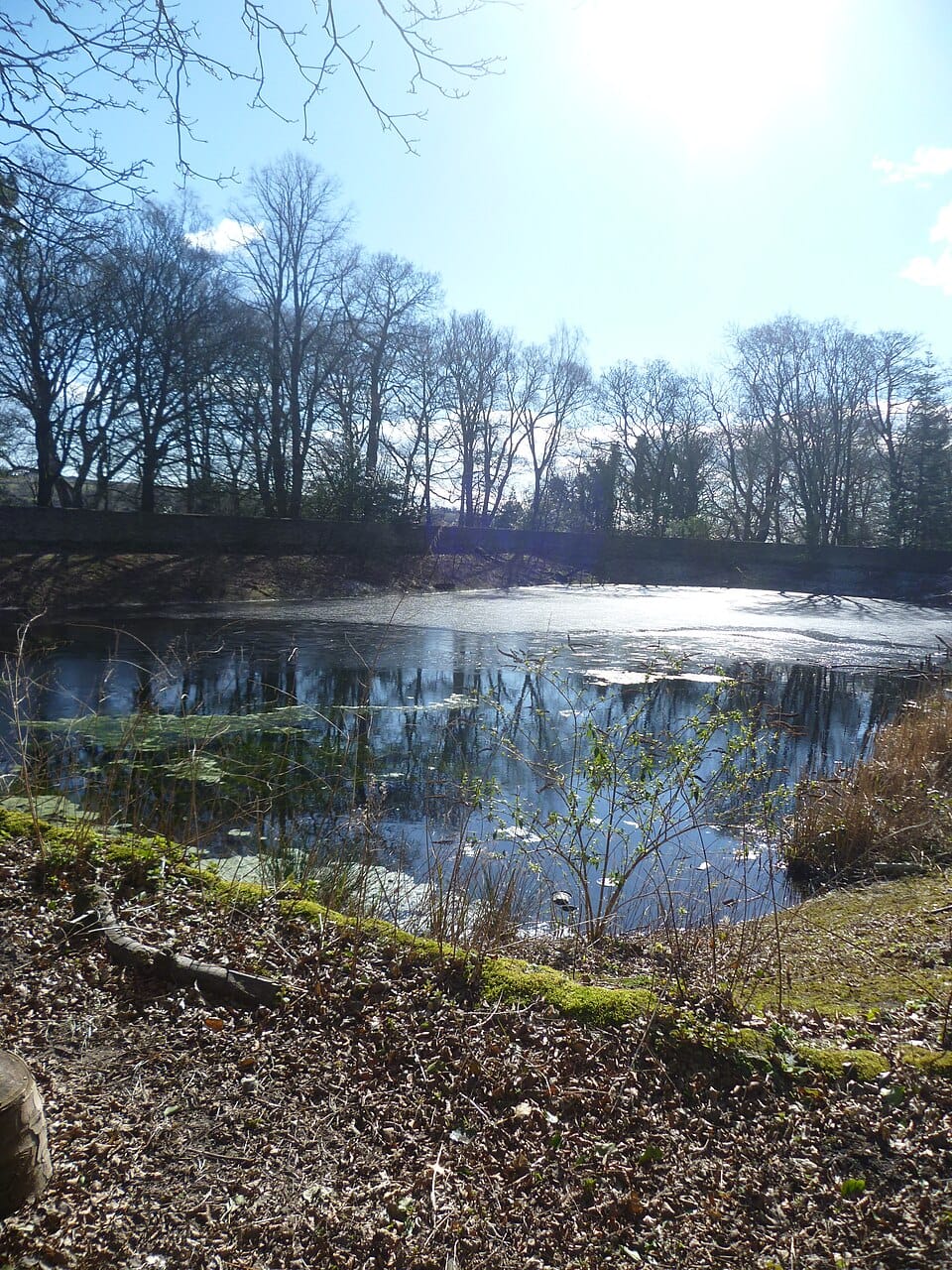 Old City Reservoir - Photo 1