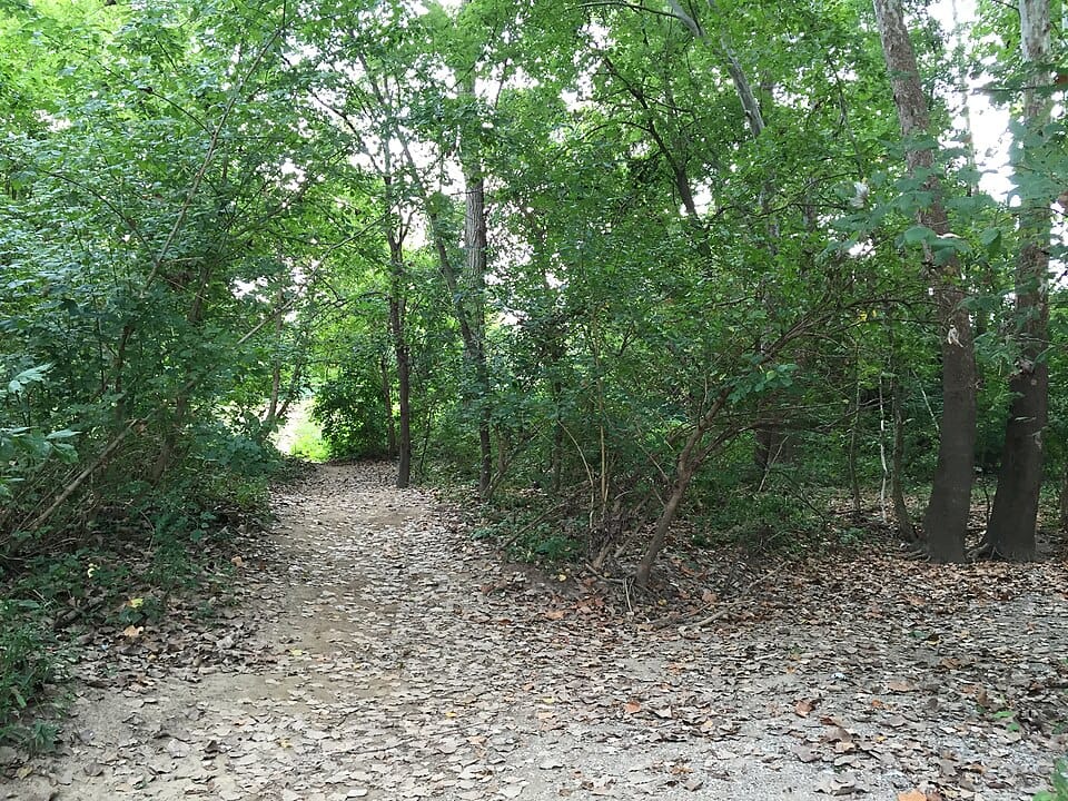 Little Miami River - Photo 1