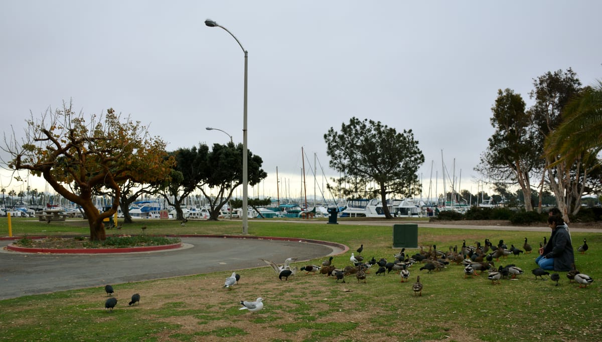Chula Vista Bayside Park - Photo 1