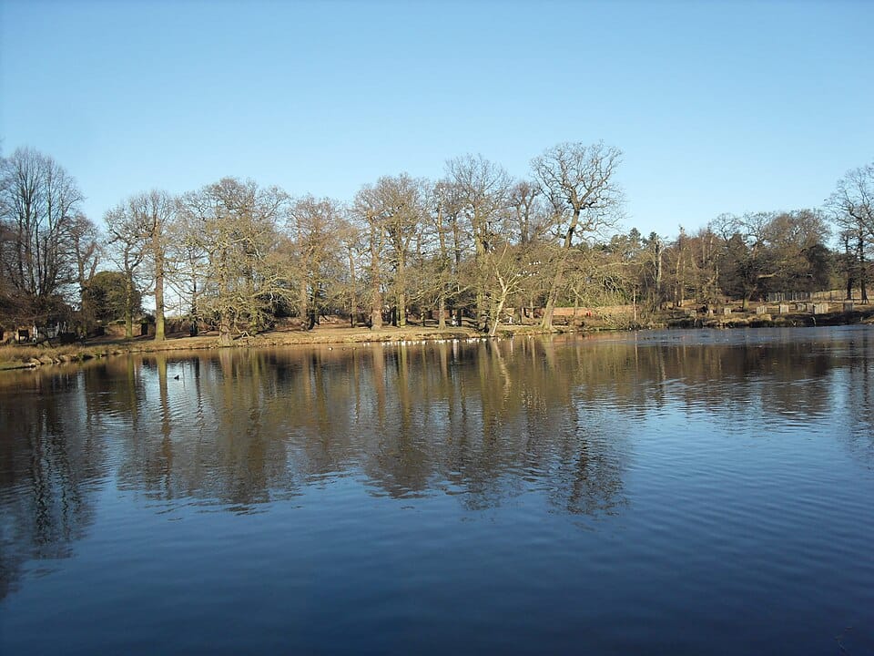 Dunham Pond - Photo 1