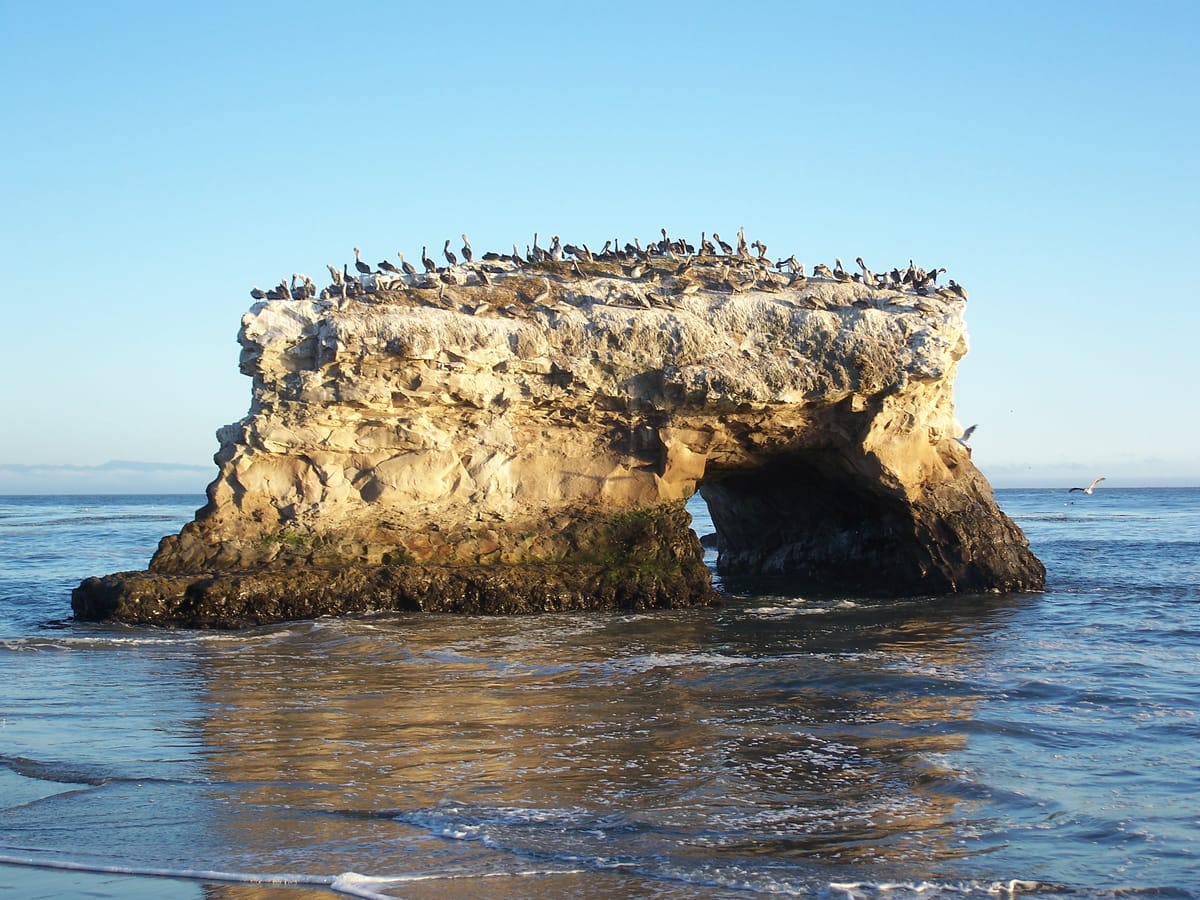 Natural Bridges State Beach - Photo 1