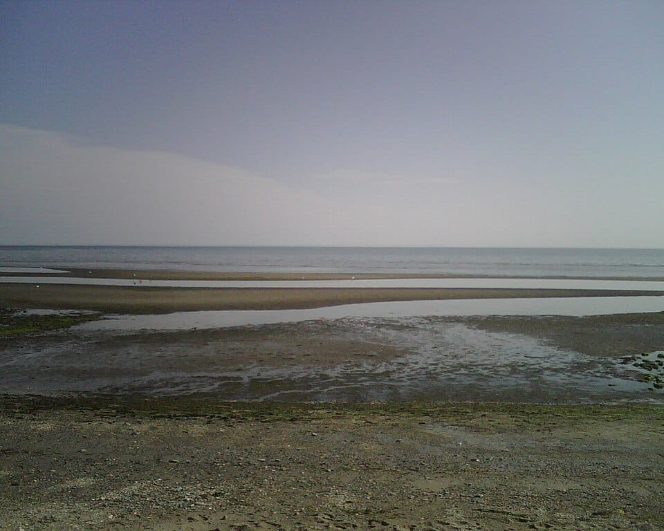Morningside Beach - Photo 1