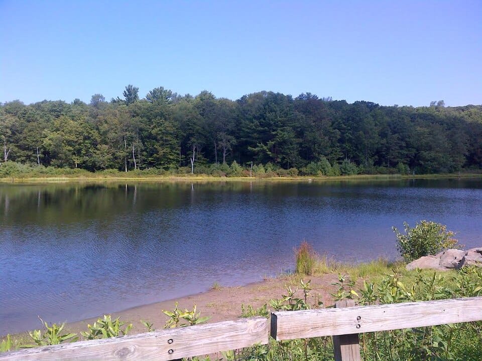 Wilke Lake - Photo 1