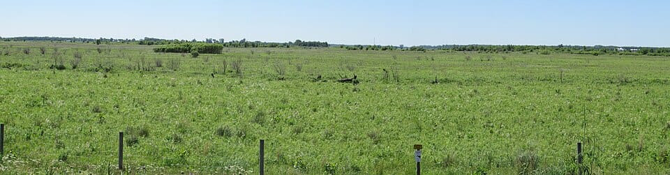 Beaver Lake - Photo 1