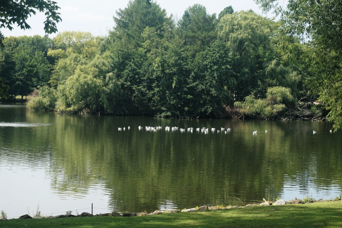 Lake Evinrude - Photo 1