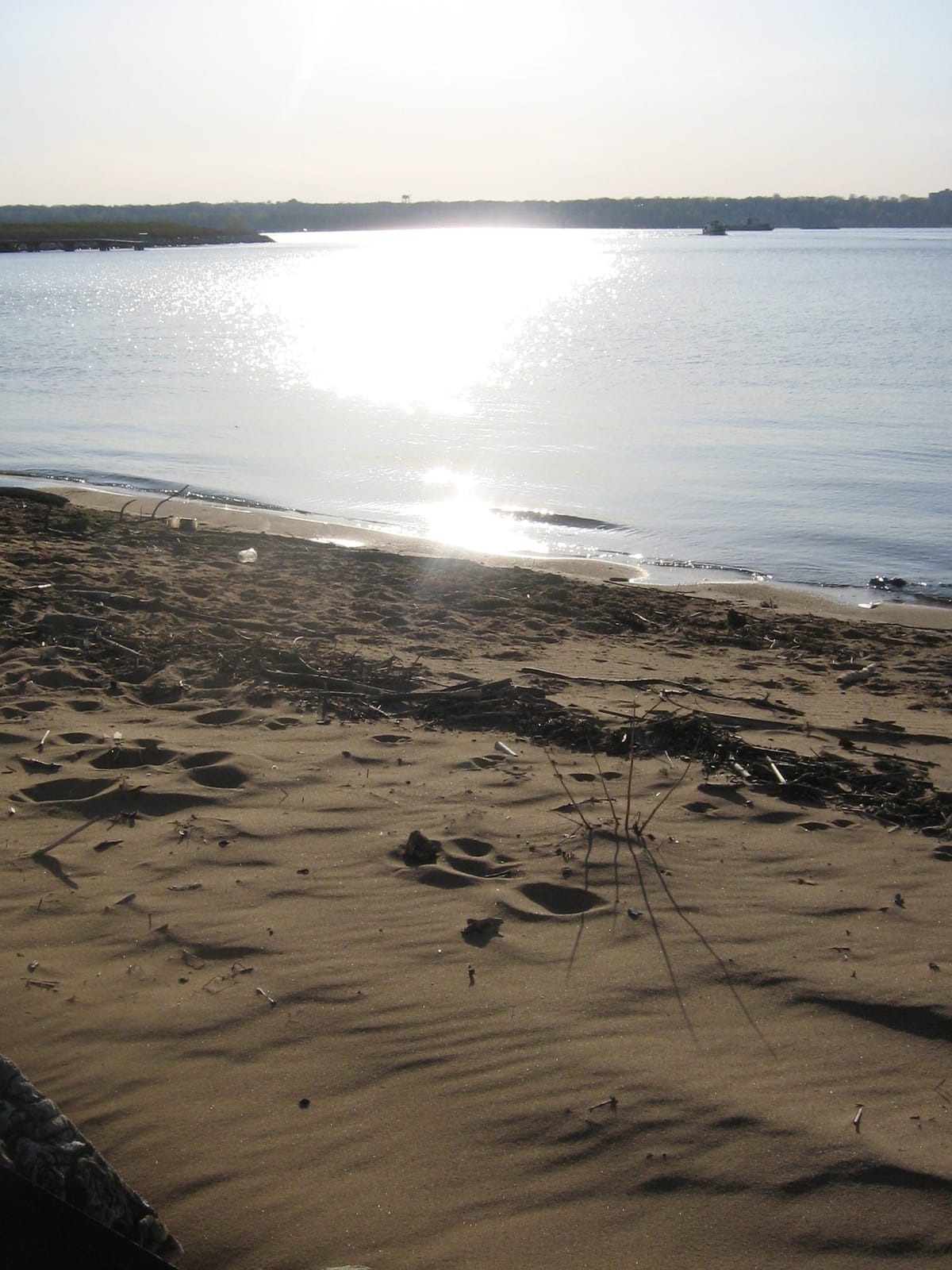National Harbor - Photo 1