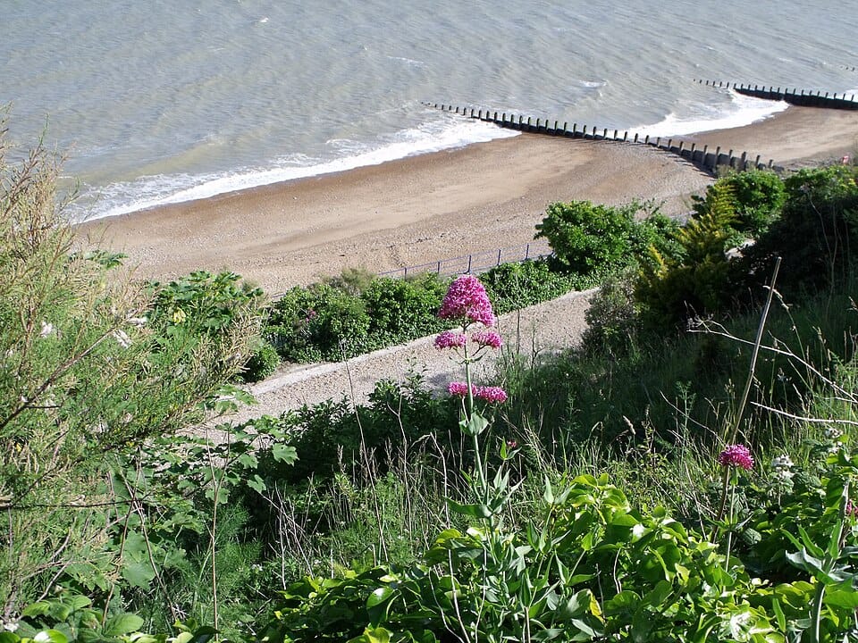 Edwards Beach - Photo 1