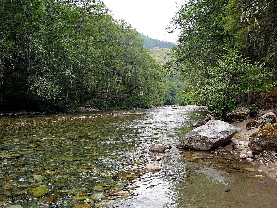 Beckler River - Photo 1