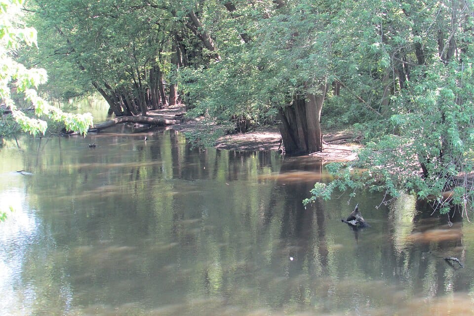 Outlet Creek - Photo 1