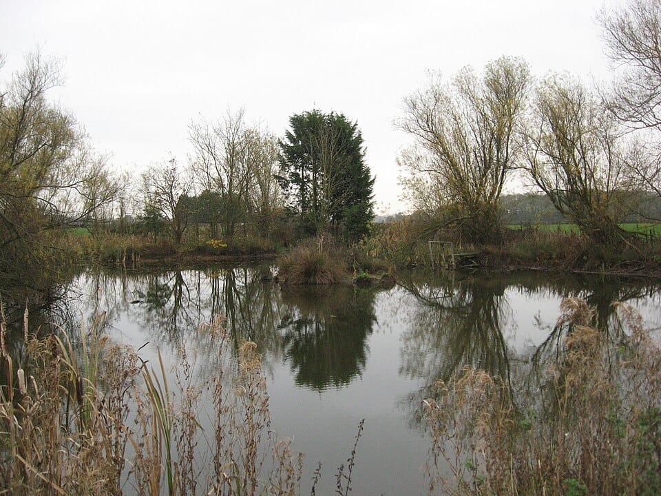Little Island Pond - Photo 1