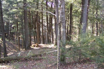 Lake Owen - Photo 1