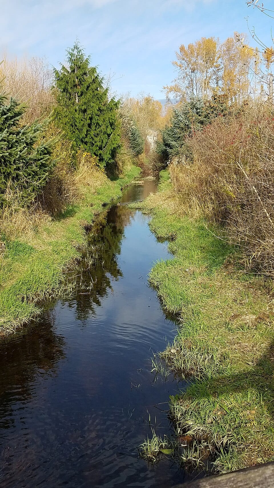 Larsen Lake - Photo 1