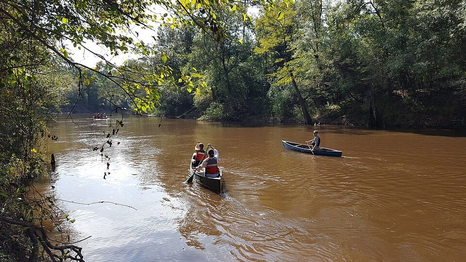VIllage Creek - Photo 1