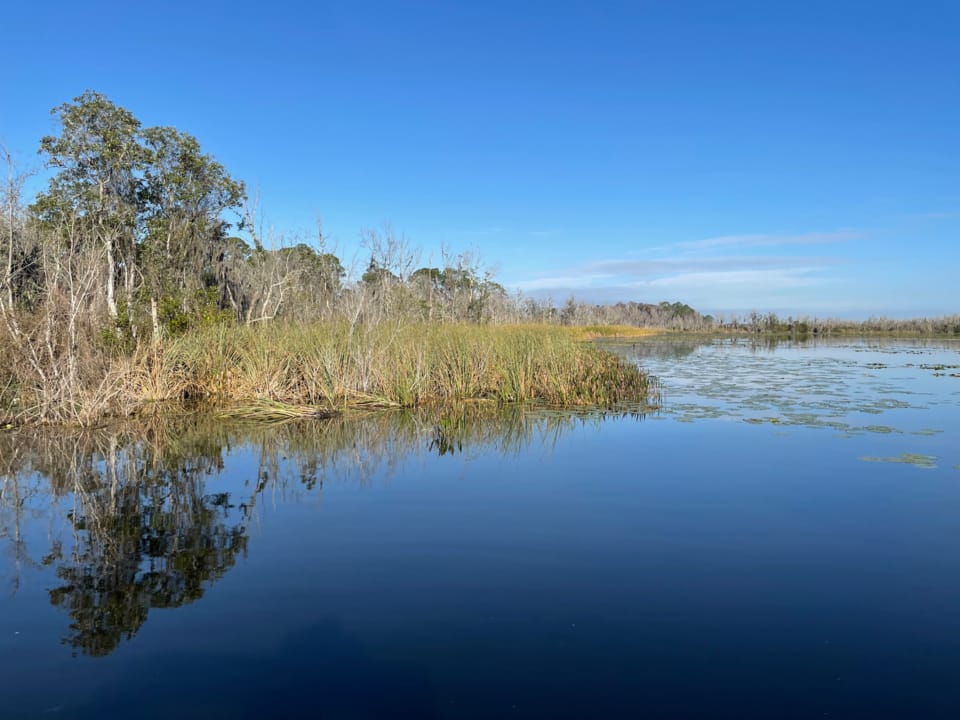 Lake Okahumpka Park - Photo 1