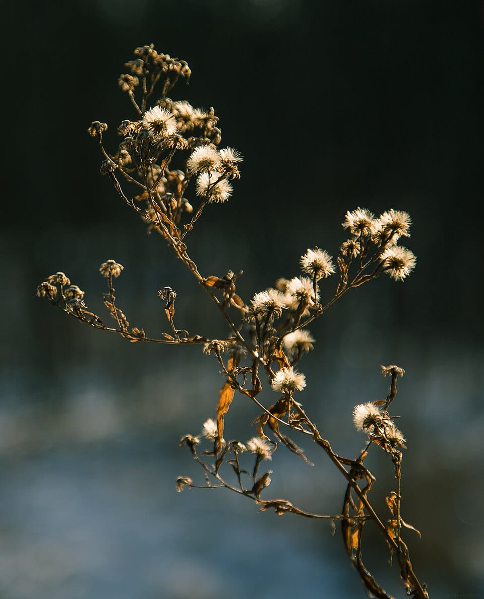 Sauk River Regional Park - Photo 1
