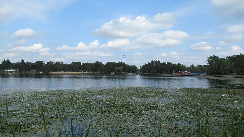 Lake Ogemaw - Photo 1