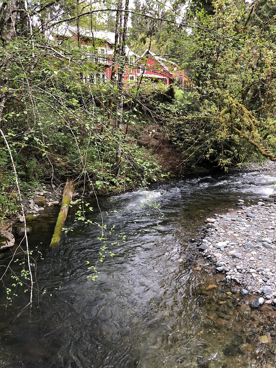 Raging River - Photo 1