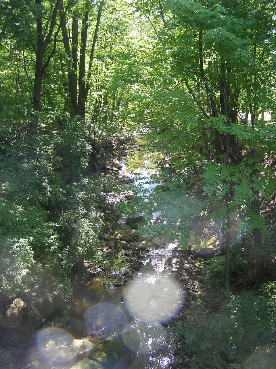 Olmsted Falls East River Park - Photo 1