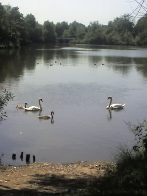 Hillsdale Reservoir - Photo 1