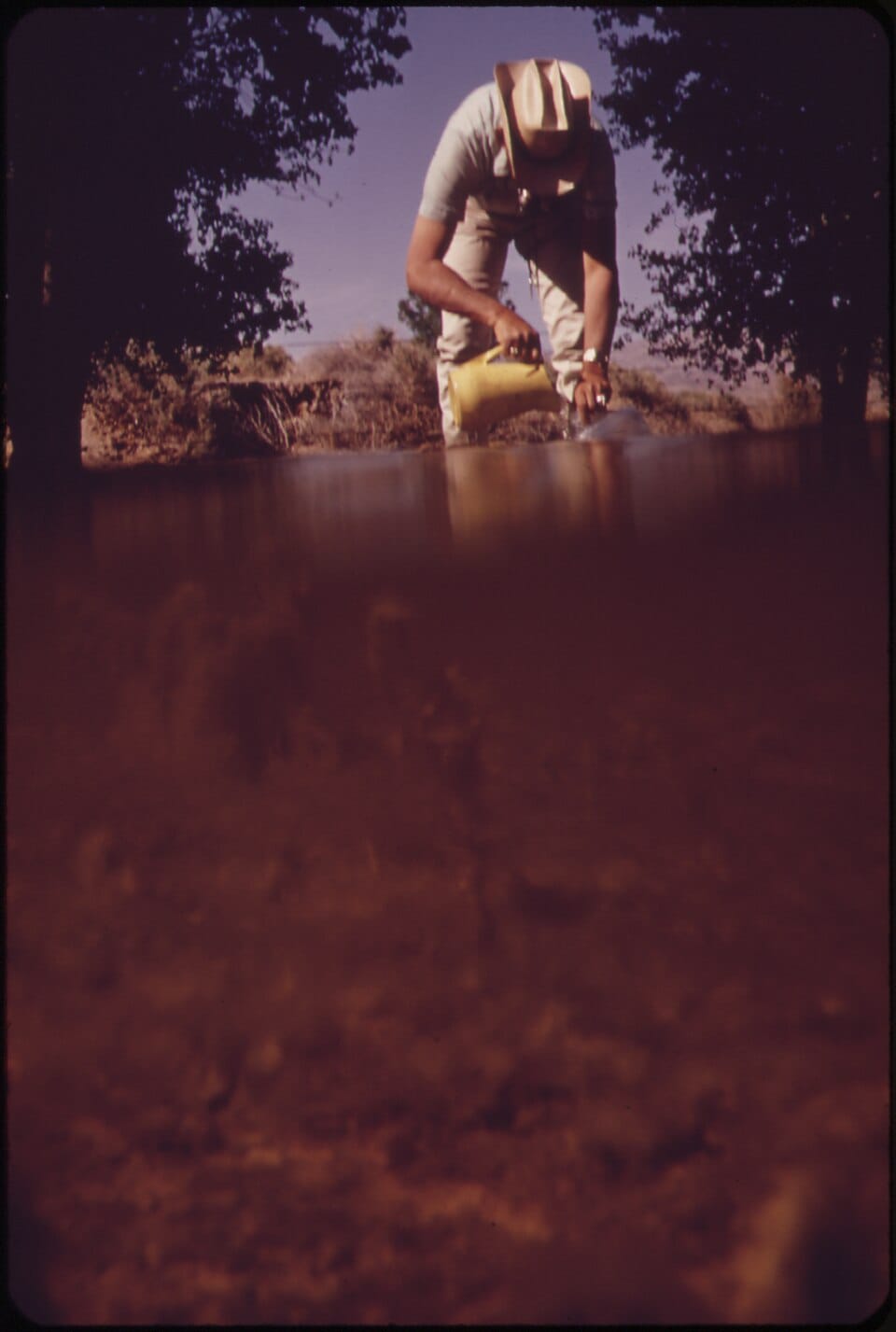 Alamo Lake State Park - Photo 1