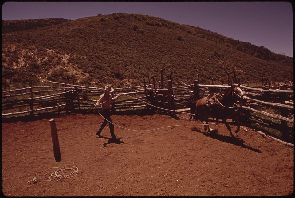 Cow Pen Creek - Photo 1
