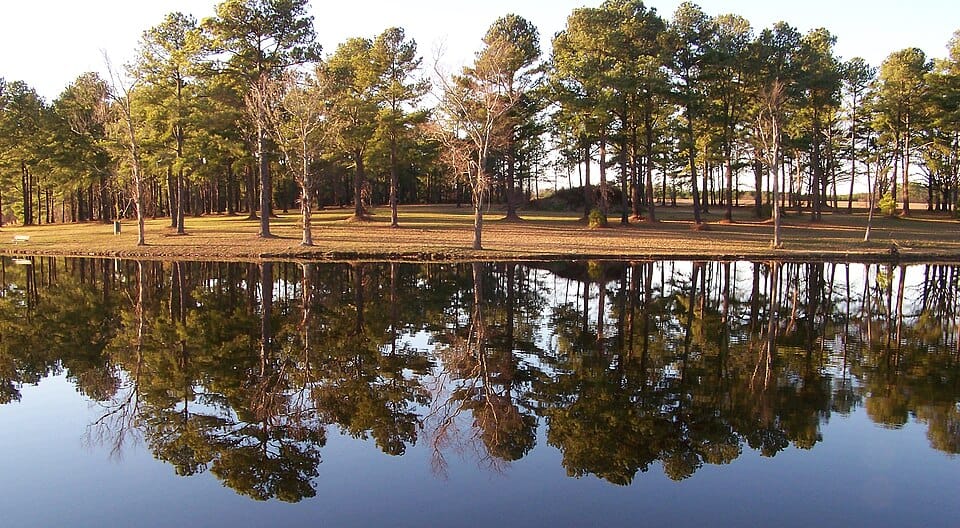 Wilson Lake - Photo 1