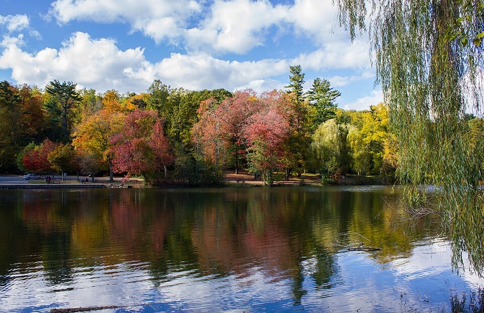 Woodlands Lake - Photo 1