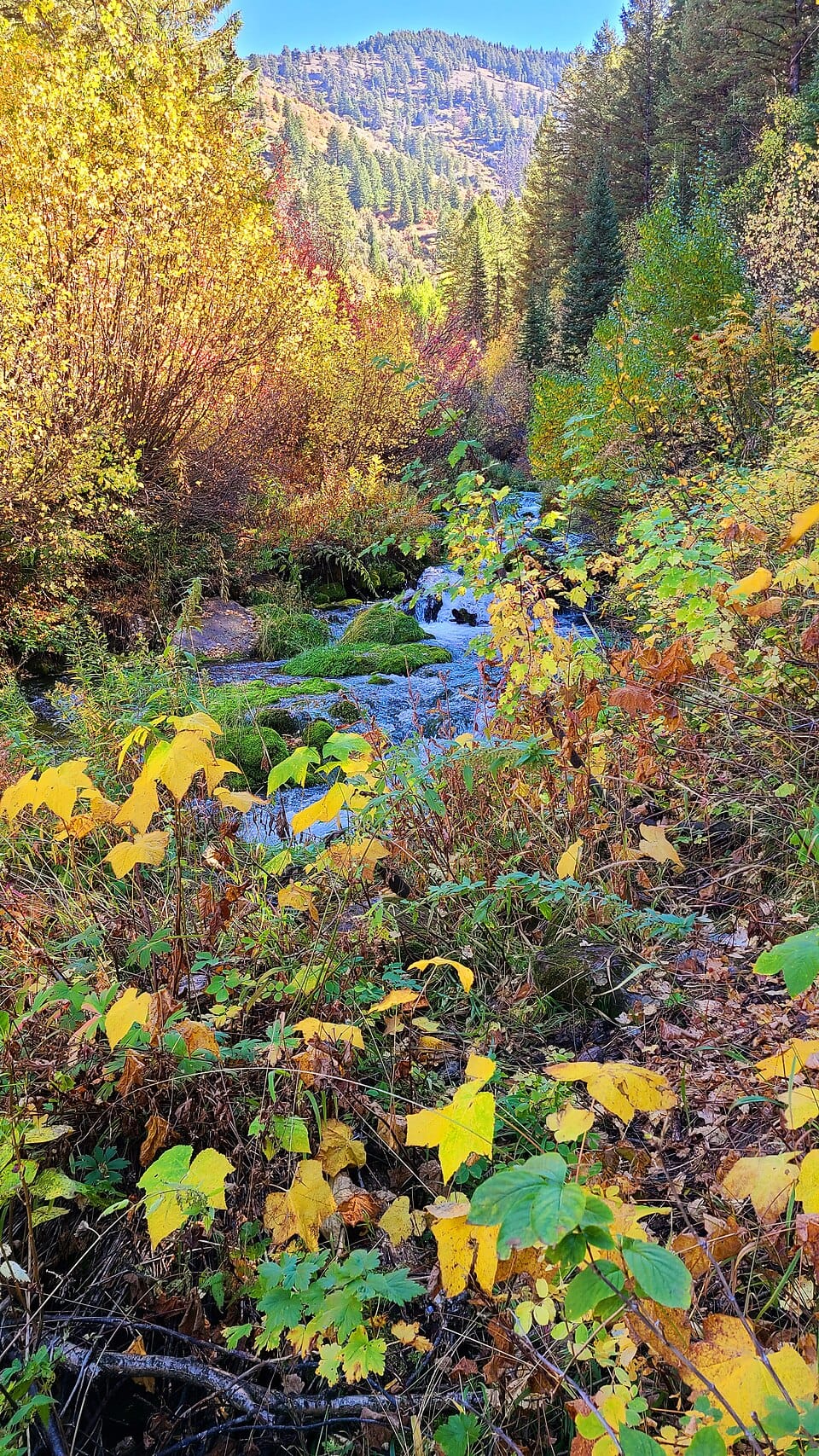 Bloomington Lake - Photo 1