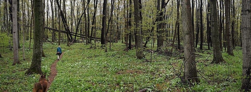 Arcadia Beach Natural Area - Photo 1