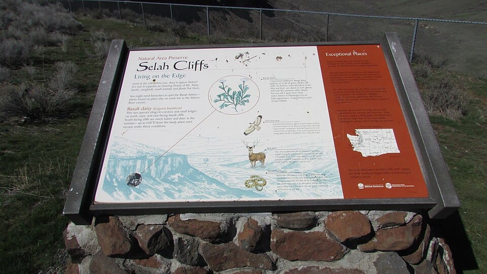 Selah Creek - Photo 1
