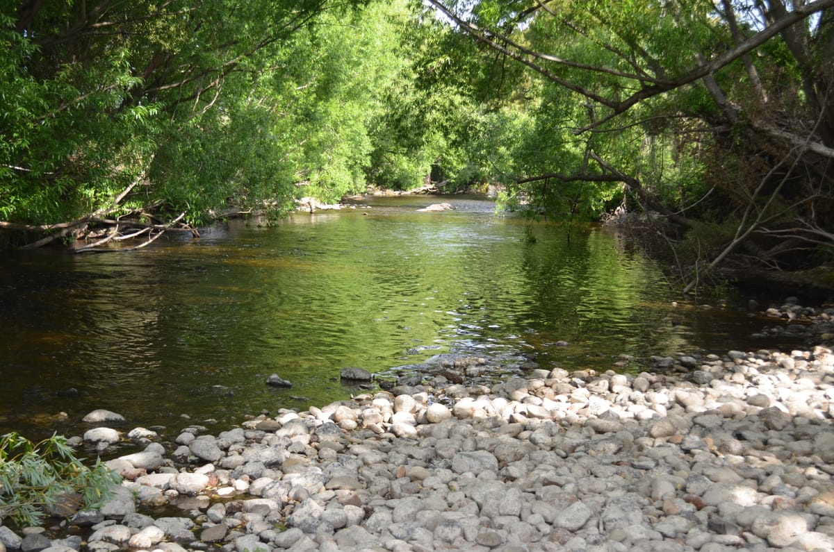 River Styx Park - Photo 1
