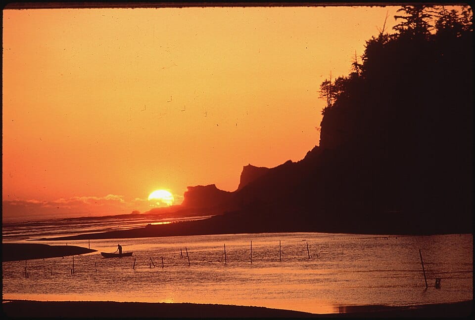 Quinault River - Photo 1