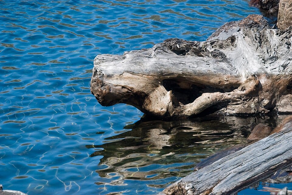 Spirit Lake - Photo 1