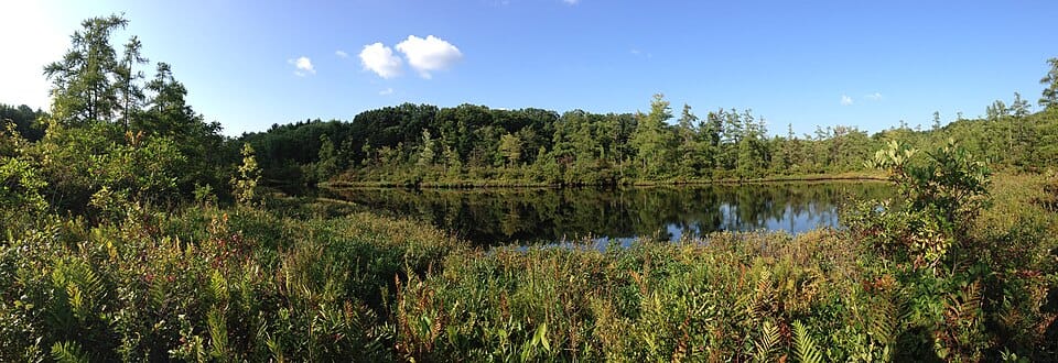 Triangle Lake Bog State Nature Preserve - Photo 1