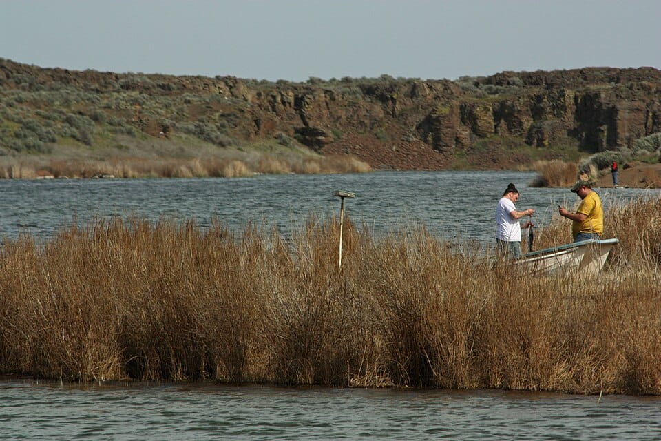 Quincy Lake - Photo 1