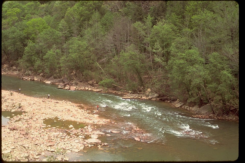 Obed Wild And Scenic River - Photo 1