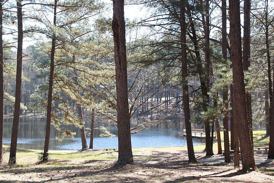 Stuart Lake - Photo 1