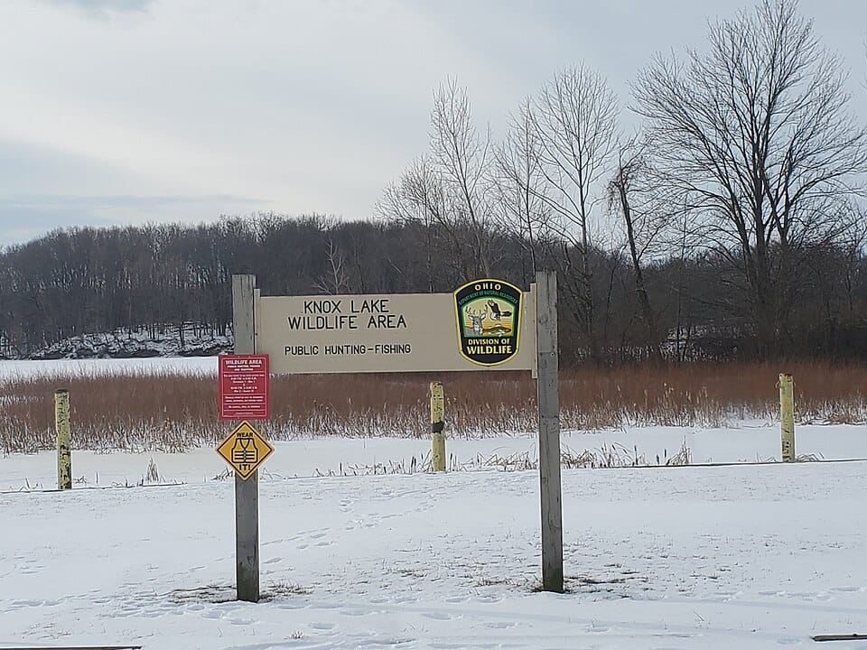 Knox Lake - Photo 1