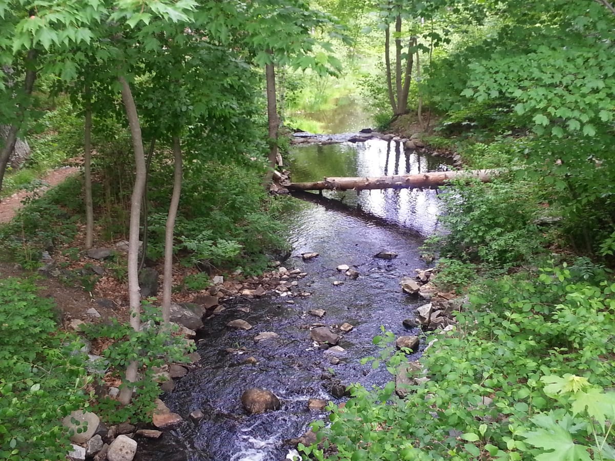 Mine Falls Park - Photo 1