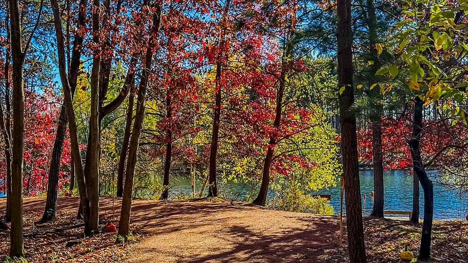 Lake Joanis - Photo 1