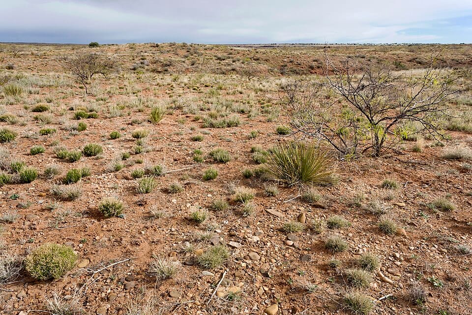 Ute Lake State Park - Photo 1