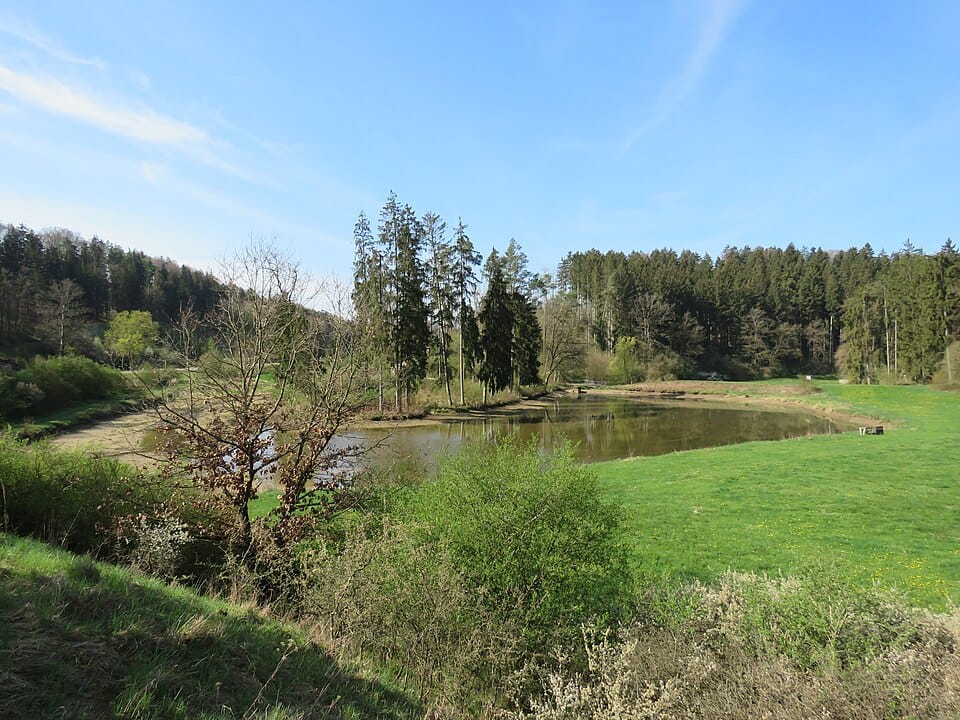 Lake Bavaria - Photo 1