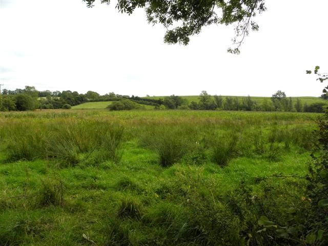 Hermitage Lough - Photo 1