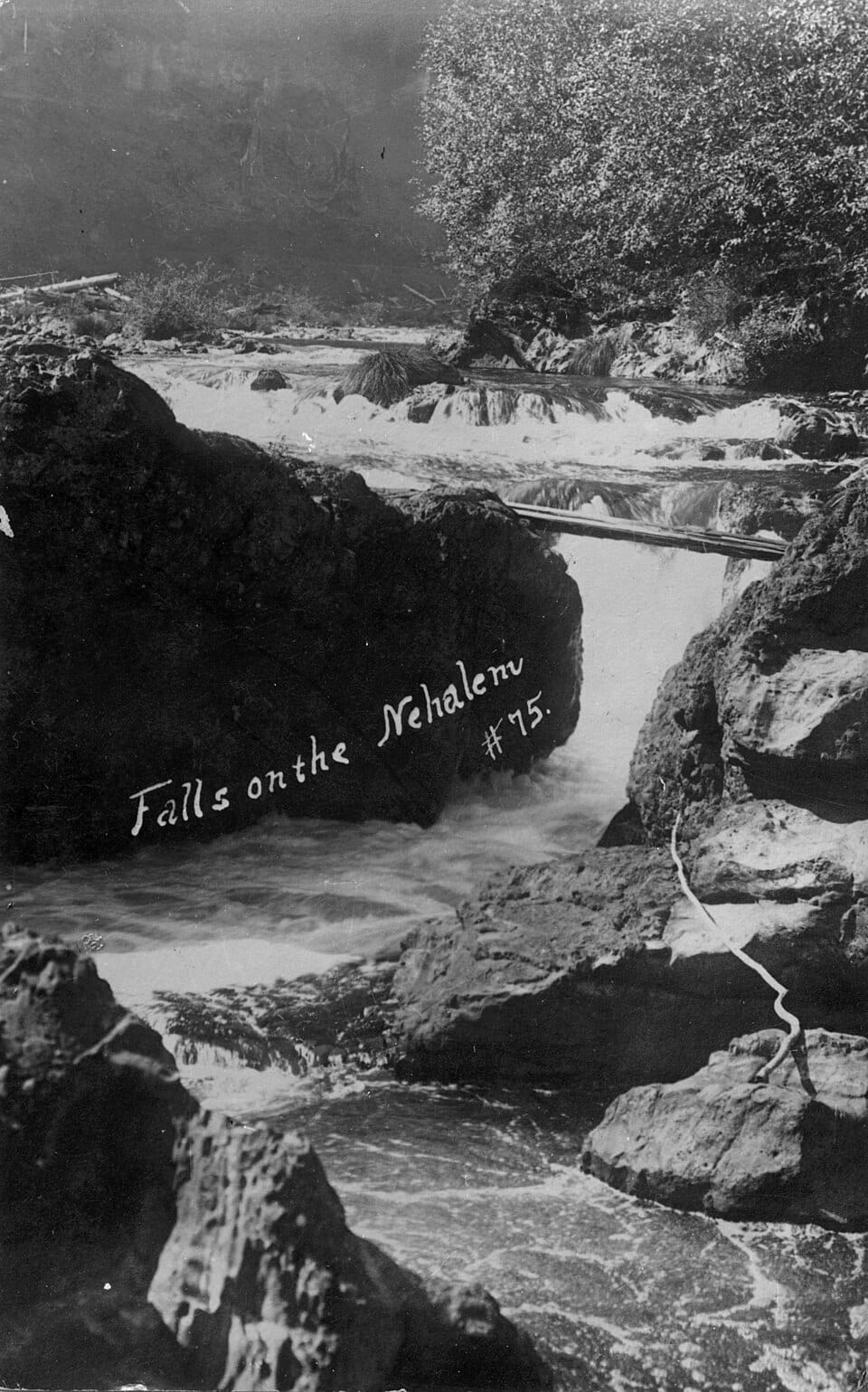 Nehalem River - Photo 1